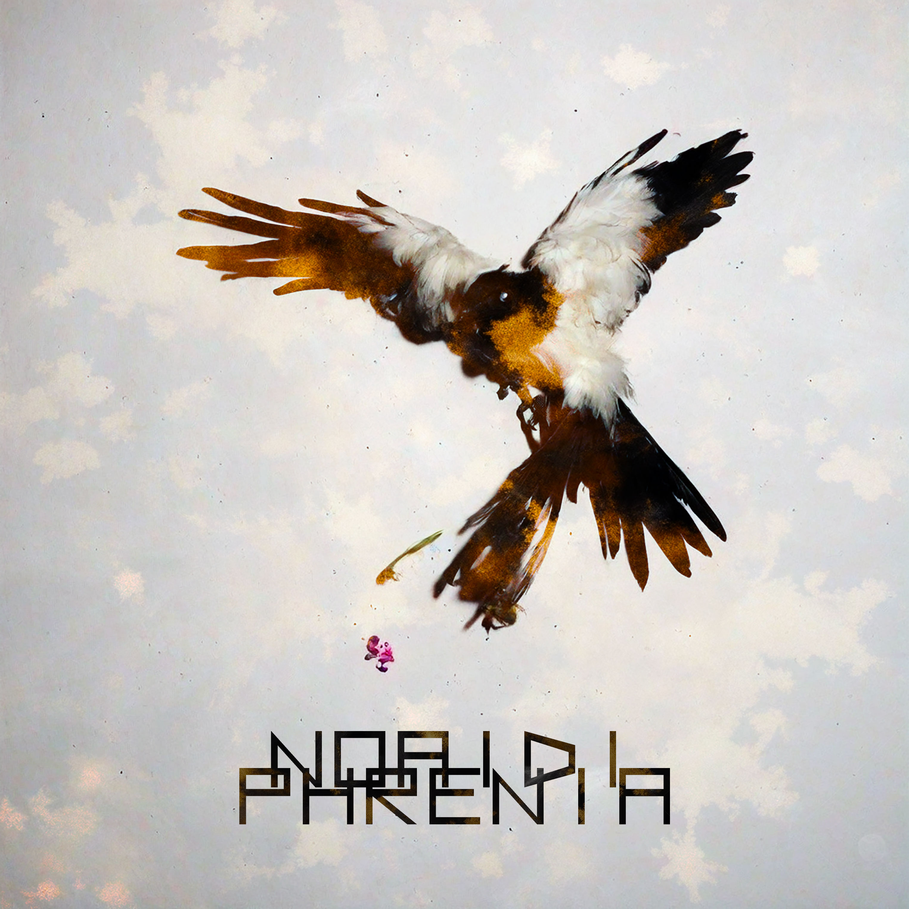 Infinite Slop Episode 7 Noaidi Phrenia